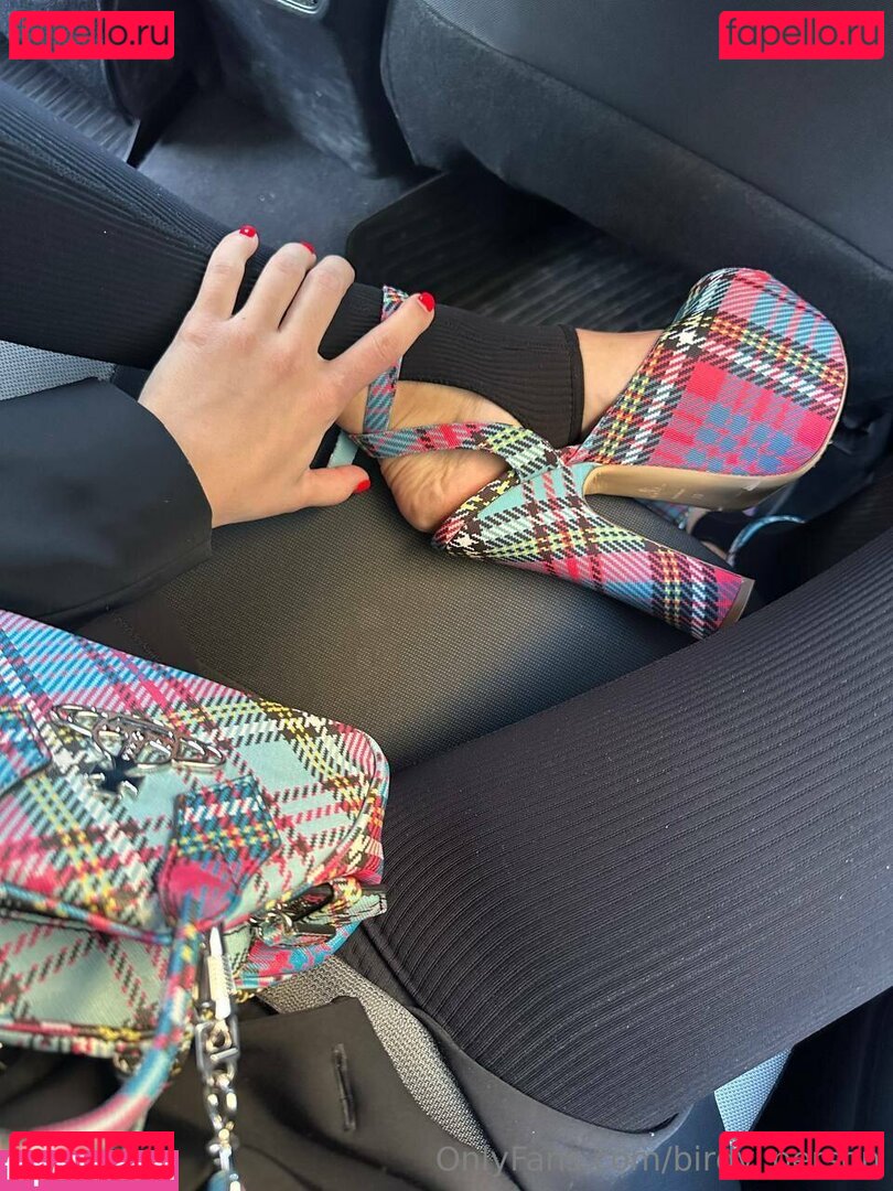 birdy_person Nude Onlyfans Photo 19