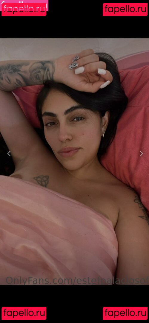 estefpalaciosof Nude Onlyfans Photo 51