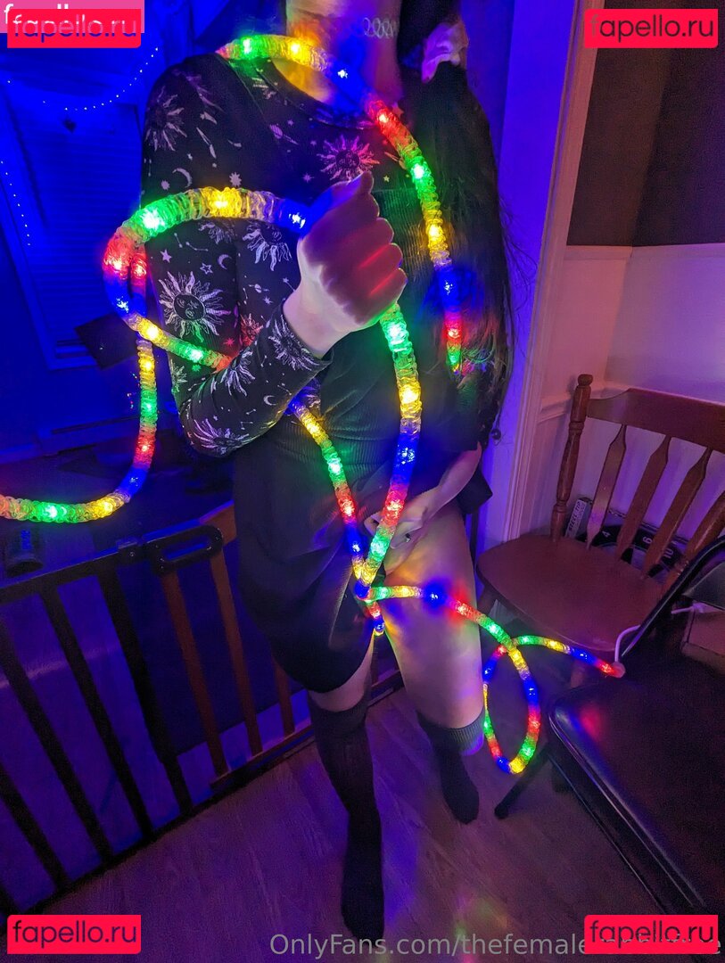 thefemalerabbitfree Nude Onlyfans Photo 5