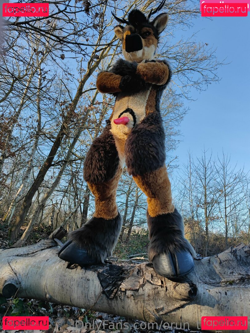 orun_the_deer Nude Onlyfans Photo 35