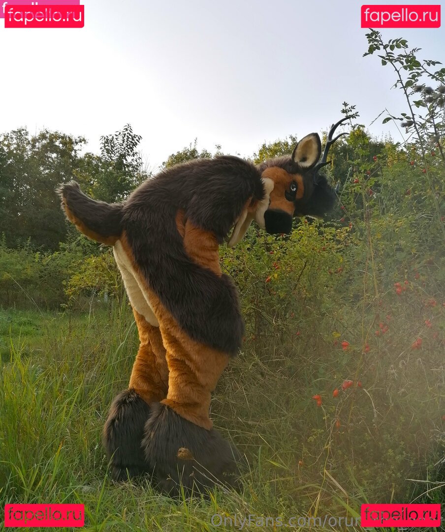 orun_the_deer Nude Onlyfans Photo 12
