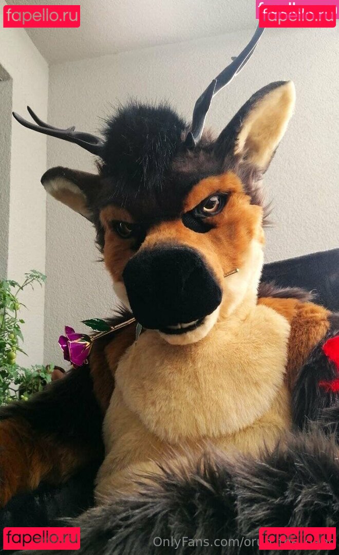 orun_the_deer Nude Onlyfans Photo 3