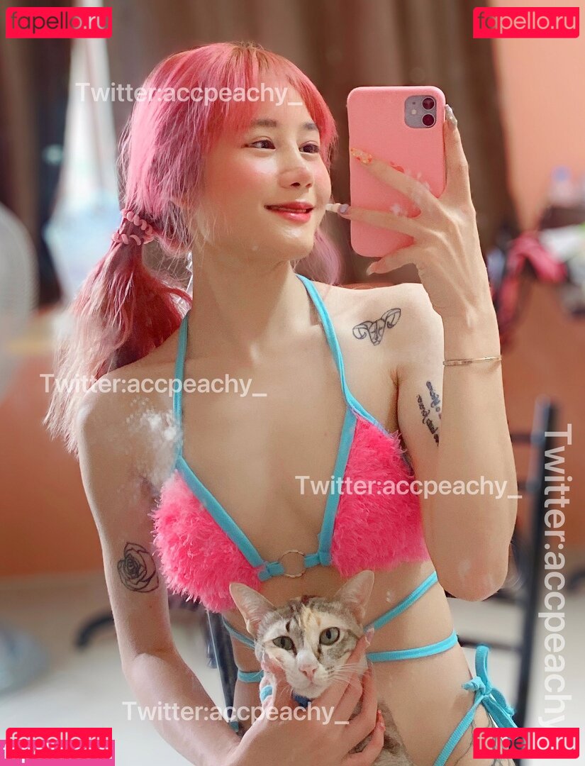 Accpeachyy Nude Onlyfans Photo 13