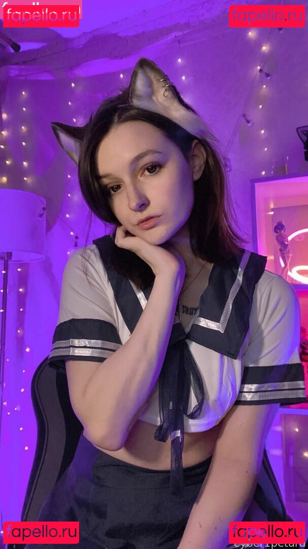 cyber1petard Nude Onlyfans Photo 30