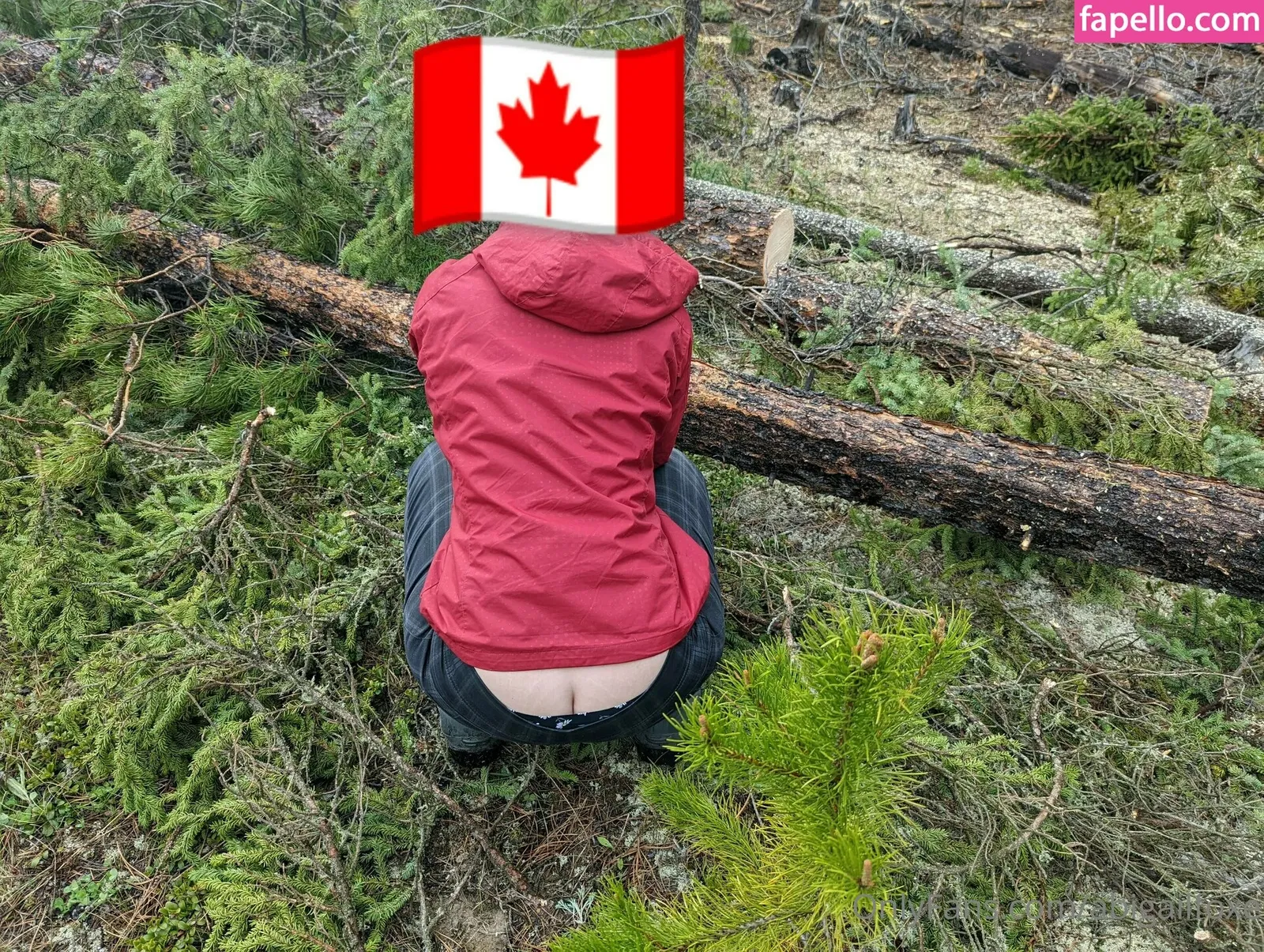 abigailfoxe Onlyfans Photo Gallery 