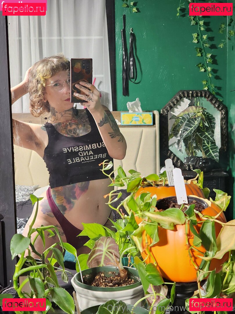pnwhotwifefree Nude Onlyfans Photo 38