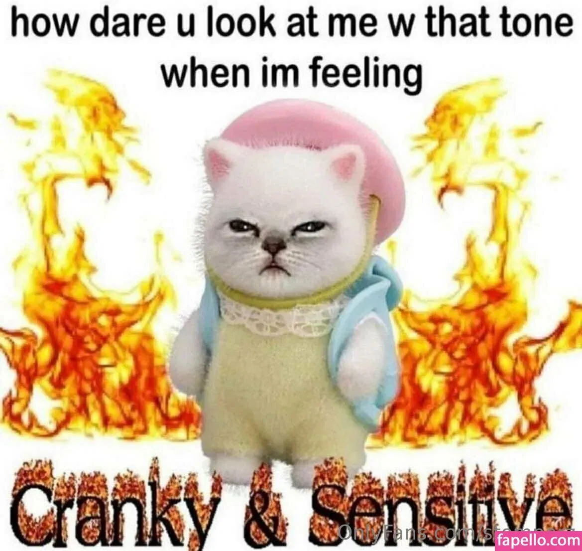 stomperz Onlyfans Photo Gallery 