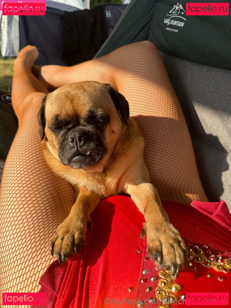 thecircusdiaries Nude Onlyfans Photo 28