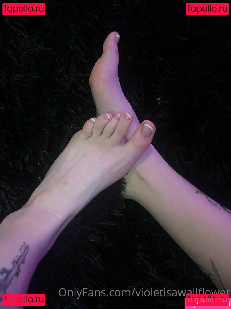 violetisawallflower Nude Onlyfans Photo 29