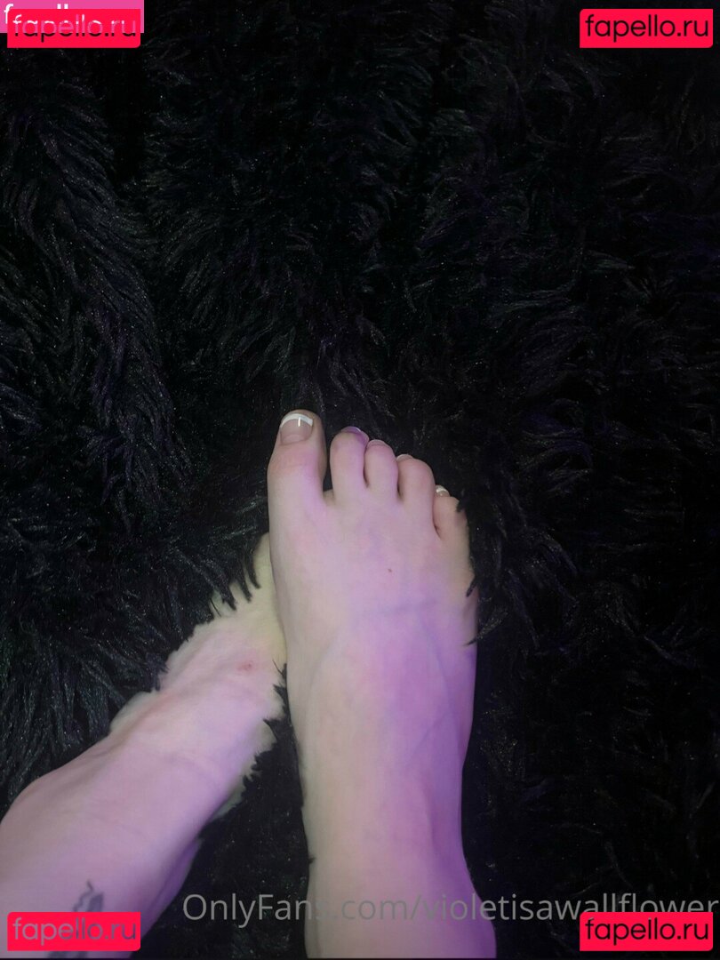 violetisawallflower Nude Onlyfans Photo 27