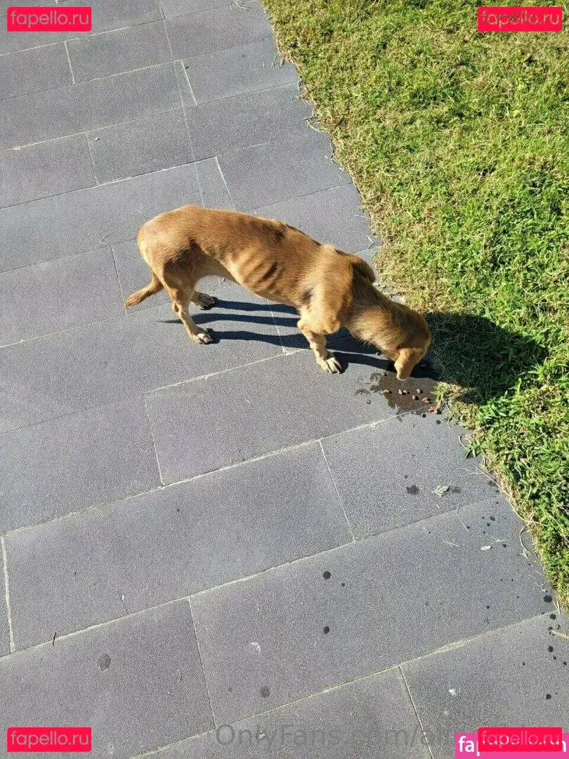 alinashine Onlyfans Photo Gallery 