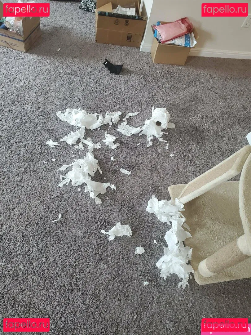 yureta2 Onlyfans Photo Gallery 