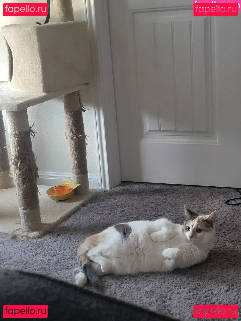 yureta2 Onlyfans Photo Gallery 