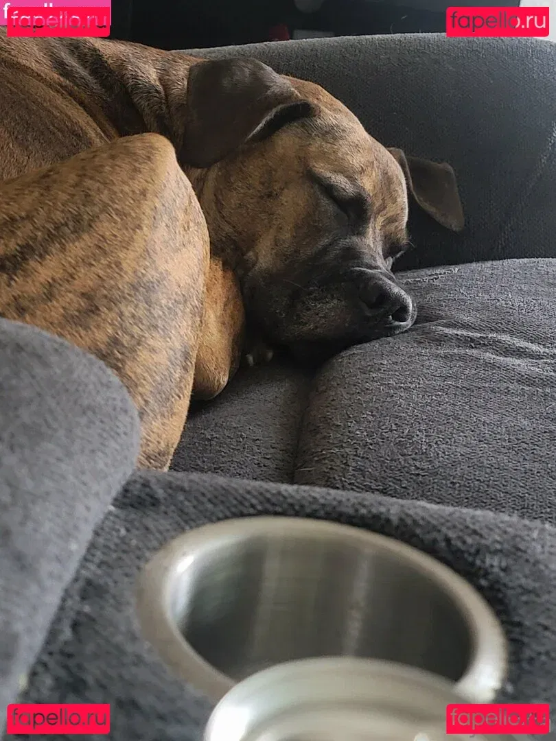 yureta2 Onlyfans Photo Gallery 