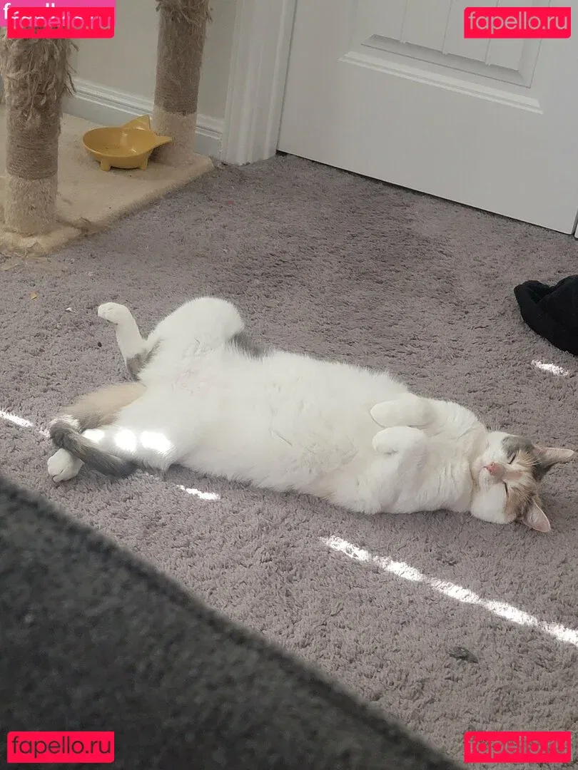 yureta2 Onlyfans Photo Gallery 