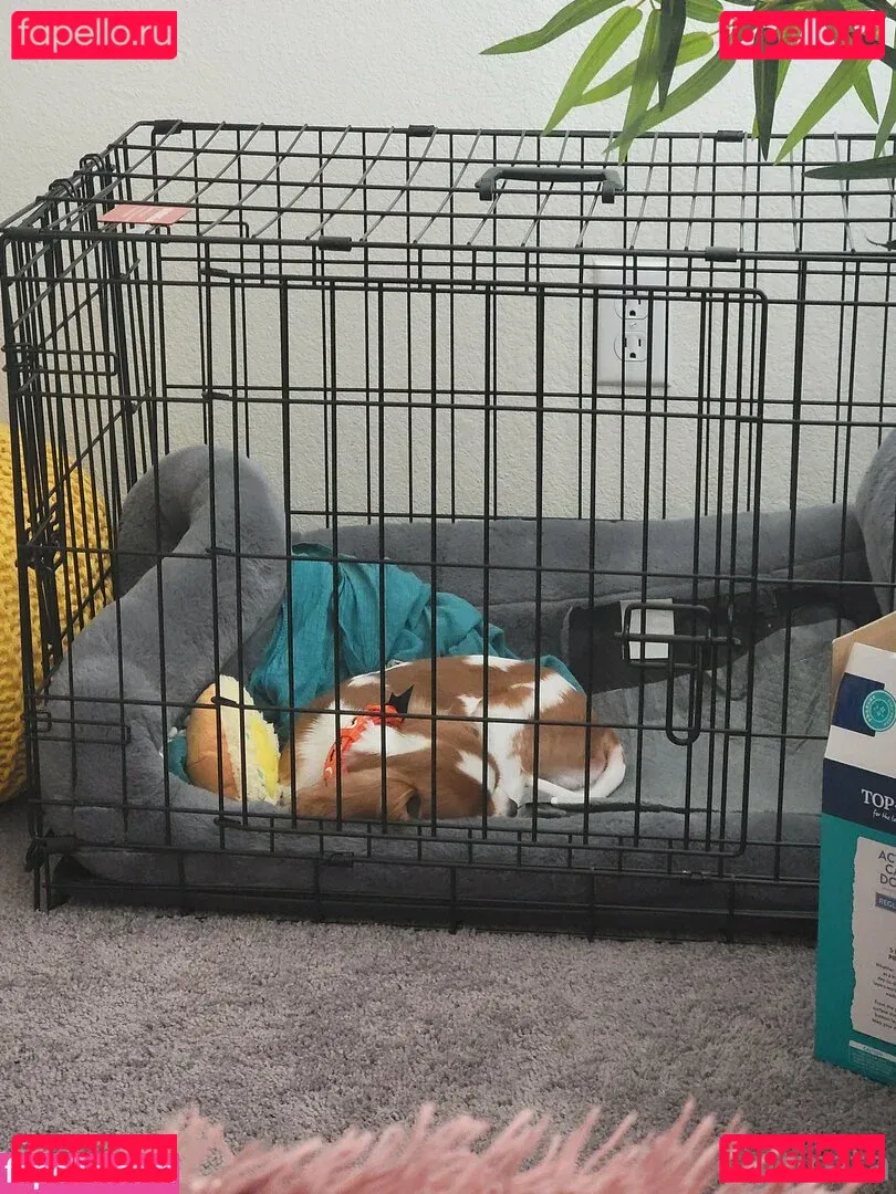 yureta2 Onlyfans Photo Gallery 