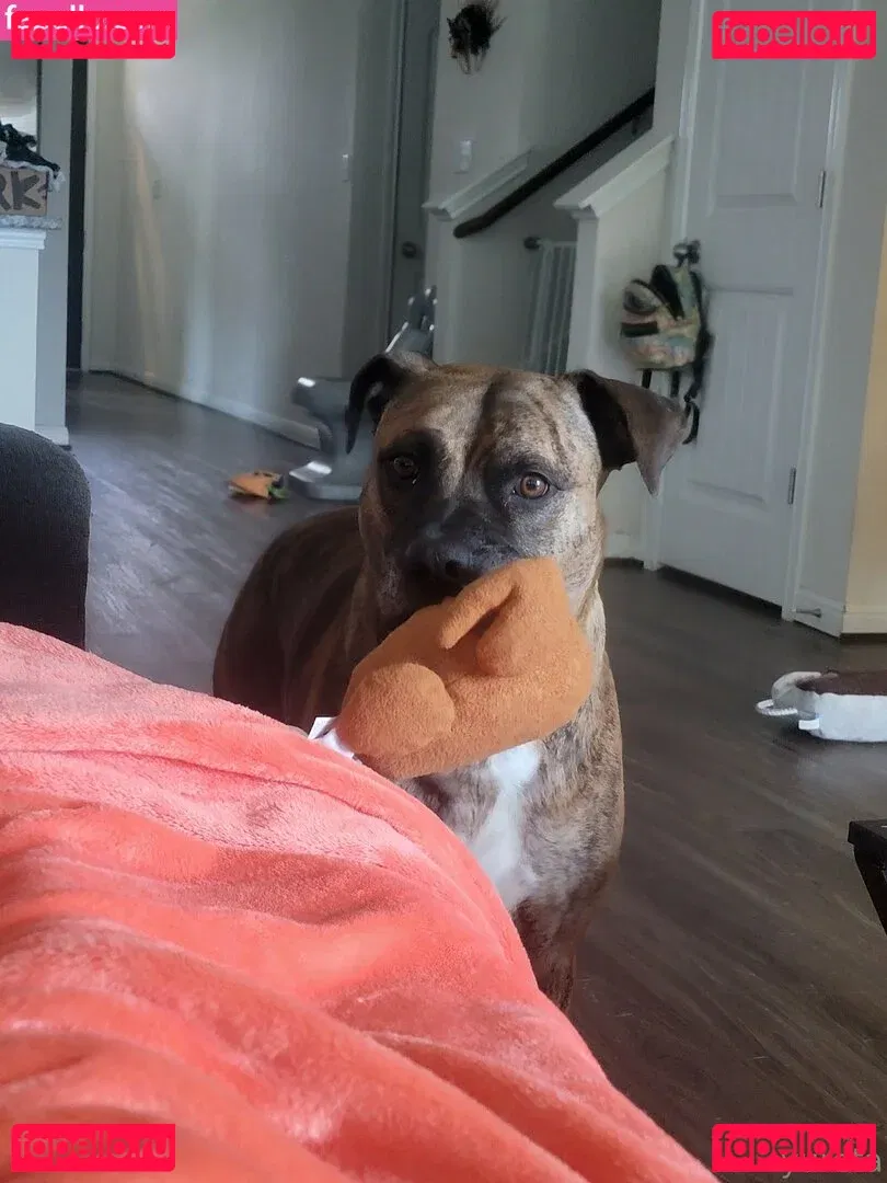 yureta2 Onlyfans Photo Gallery 