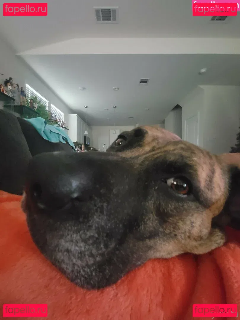 yureta2 Onlyfans Photo Gallery 