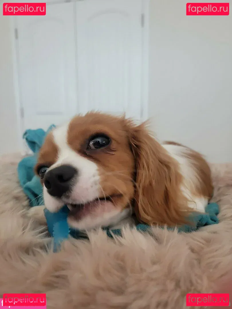 yureta2 Onlyfans Photo Gallery 