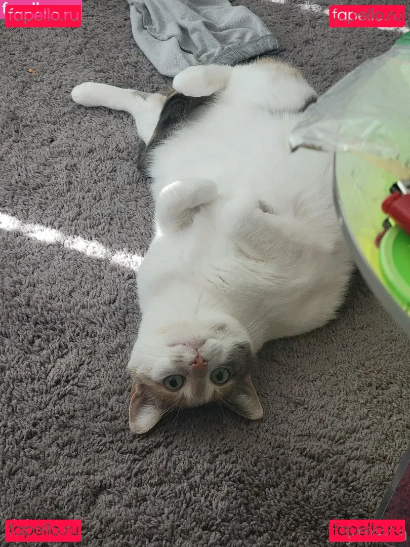 yureta2 Onlyfans Photo Gallery 