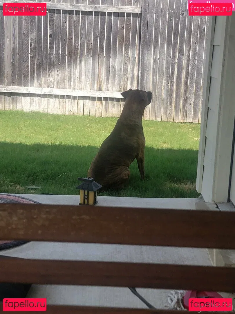 yureta2 Onlyfans Photo Gallery 