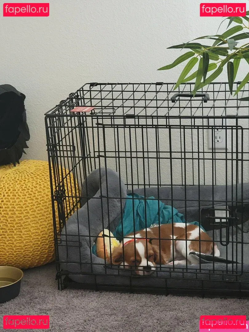 yureta2 Onlyfans Photo Gallery 