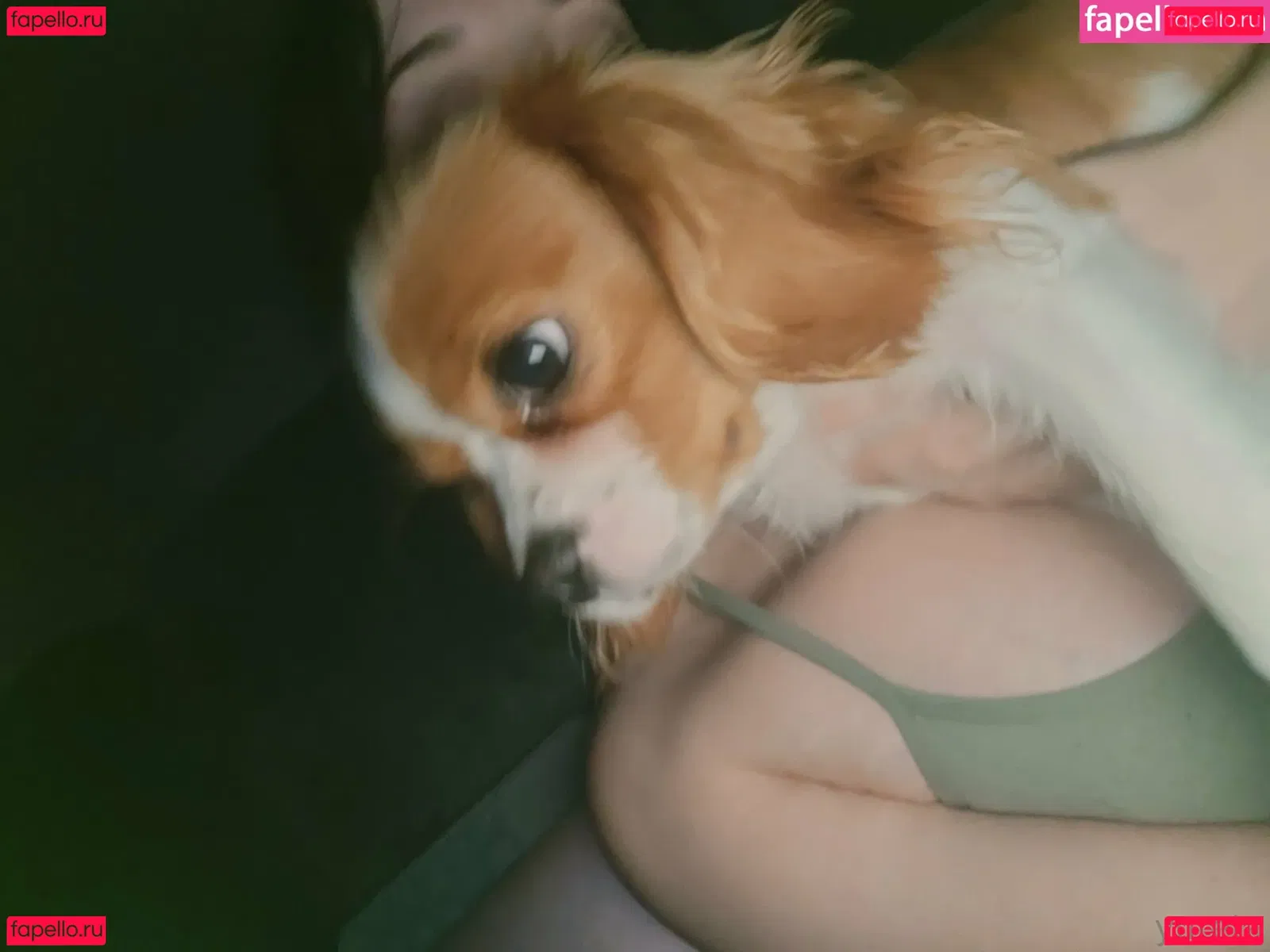 yureta2 Onlyfans Photo Gallery 