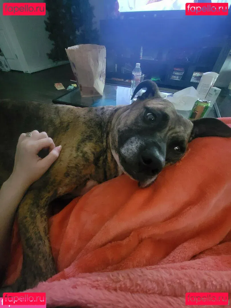 yureta2 Onlyfans Photo Gallery 