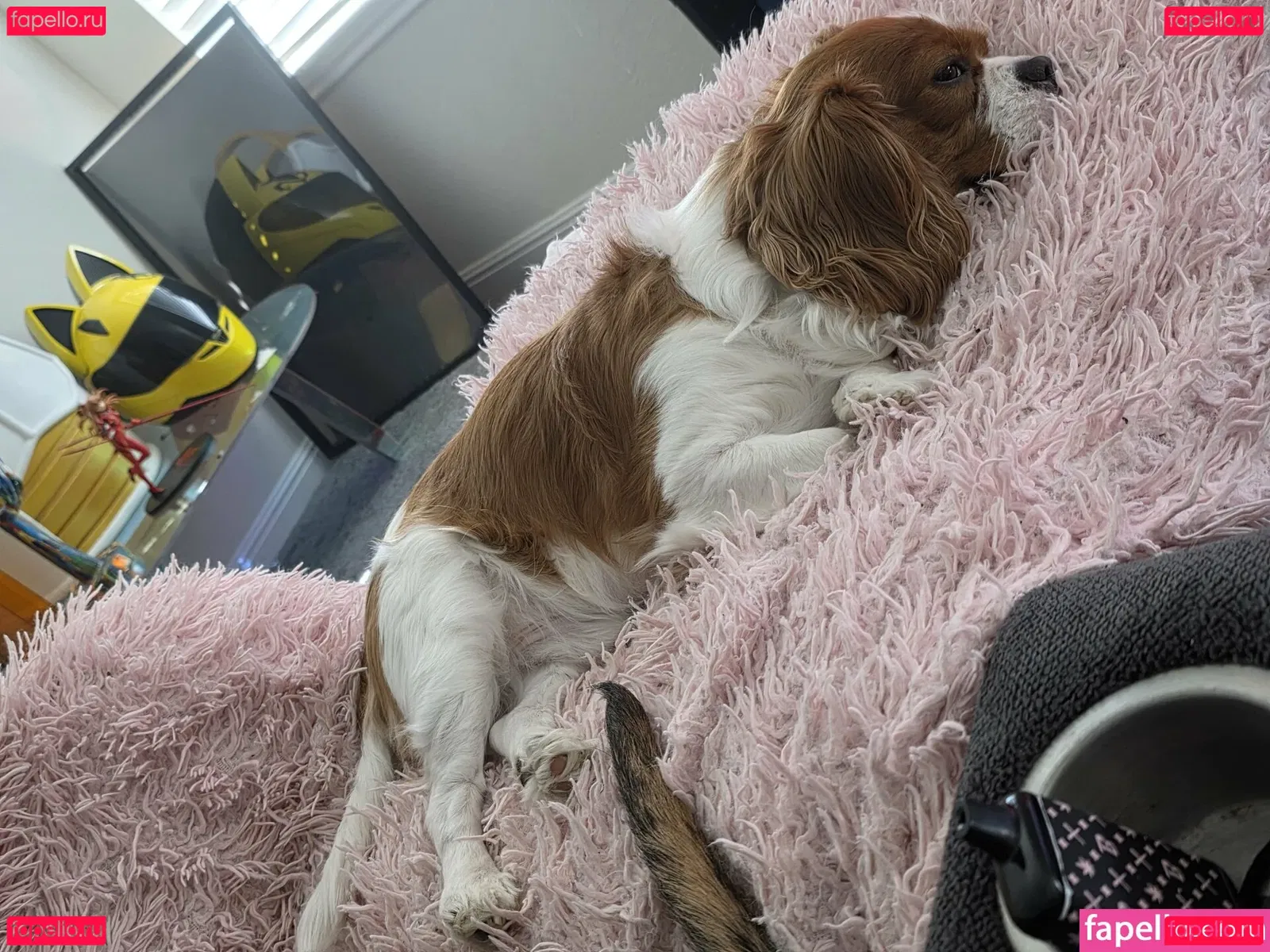 yureta2 Onlyfans Photo Gallery 