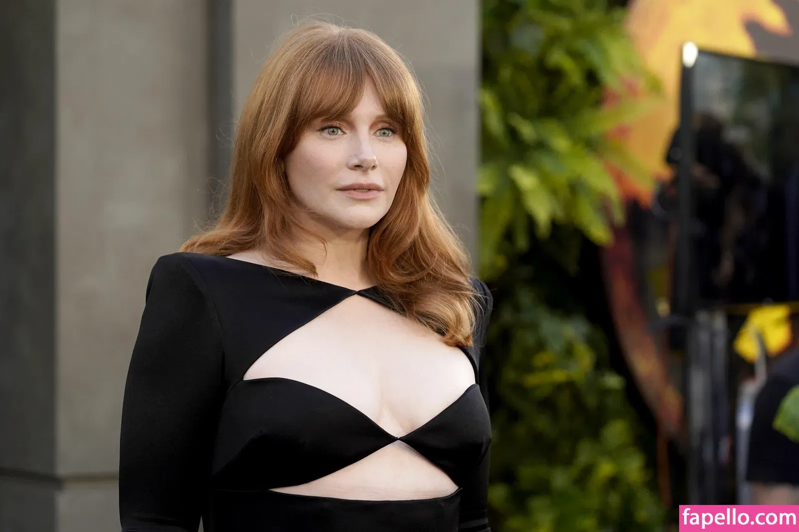 Bryce Dallas Howard Onlyfans Photo Gallery 