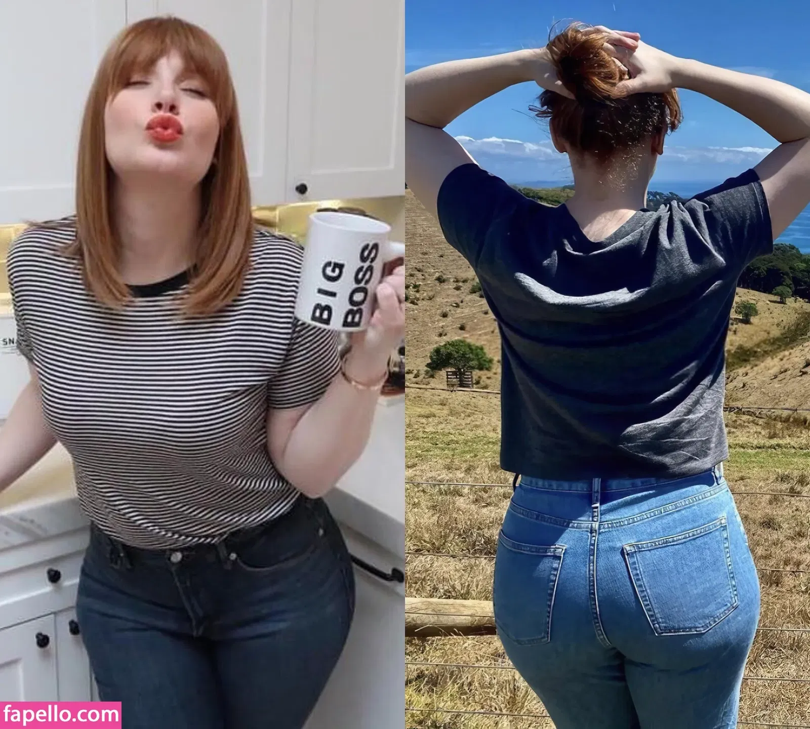 Bryce Dallas Howard Onlyfans Photo Gallery 