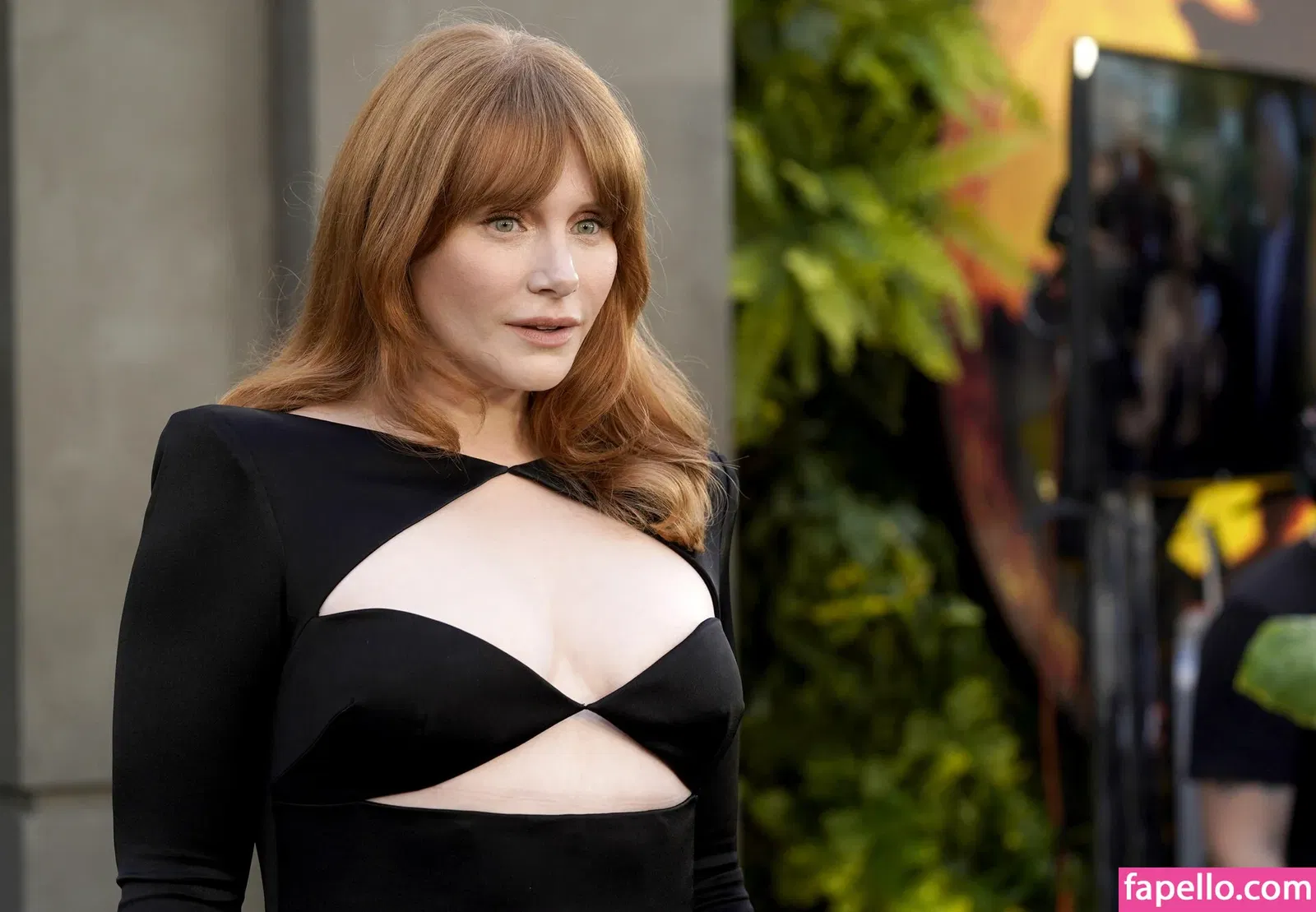 Bryce Dallas Howard Onlyfans Photo Gallery 