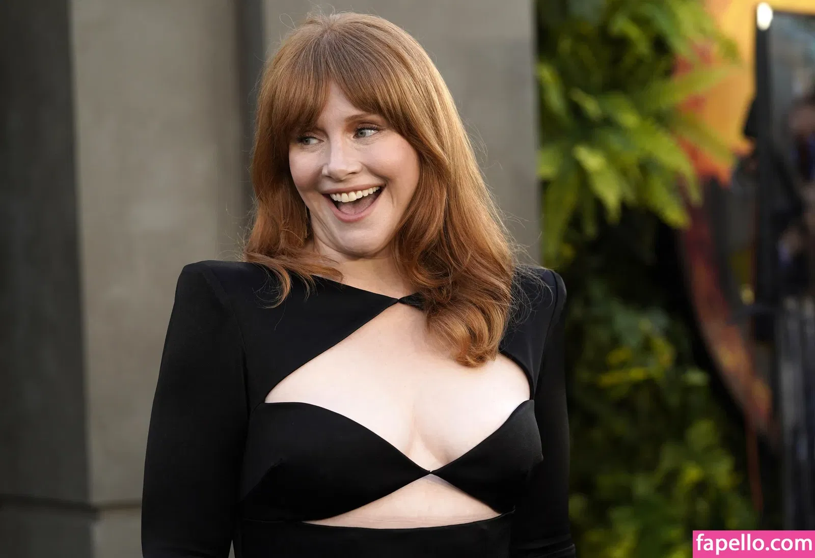 Bryce Dallas Howard Onlyfans Photo Gallery 