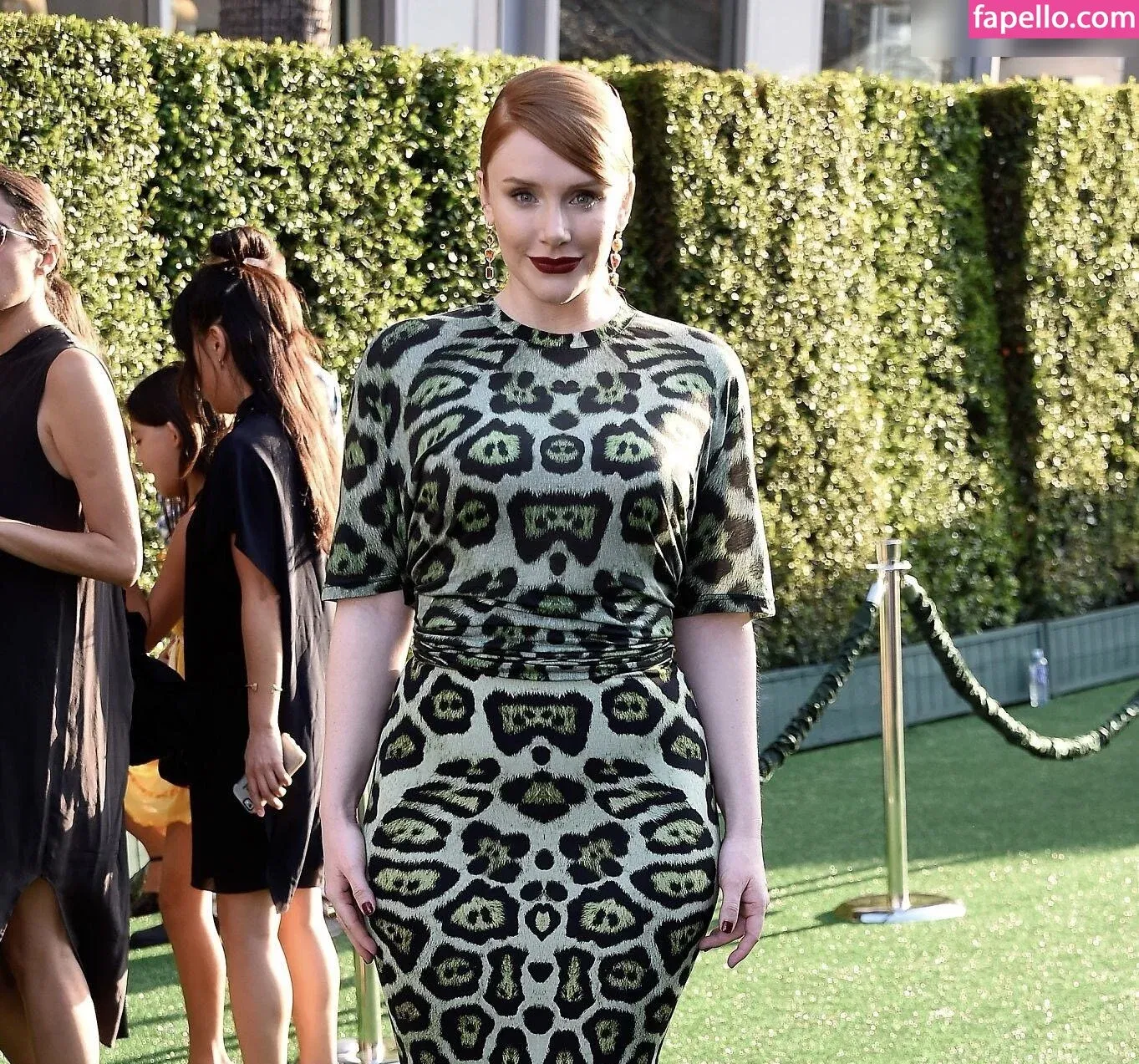 Bryce Dallas Howard Onlyfans Photo Gallery 