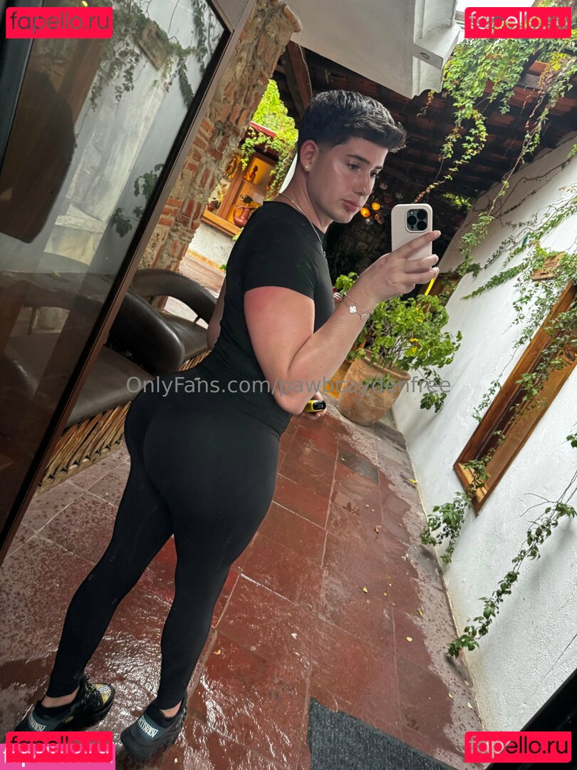 pawbcaydenfree Nude Onlyfans Photo 15