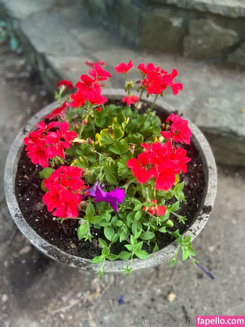 samreigns Onlyfans Photo Gallery 