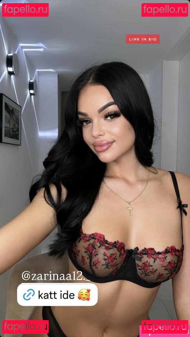 zarinavip Nude Onlyfans Photo 7