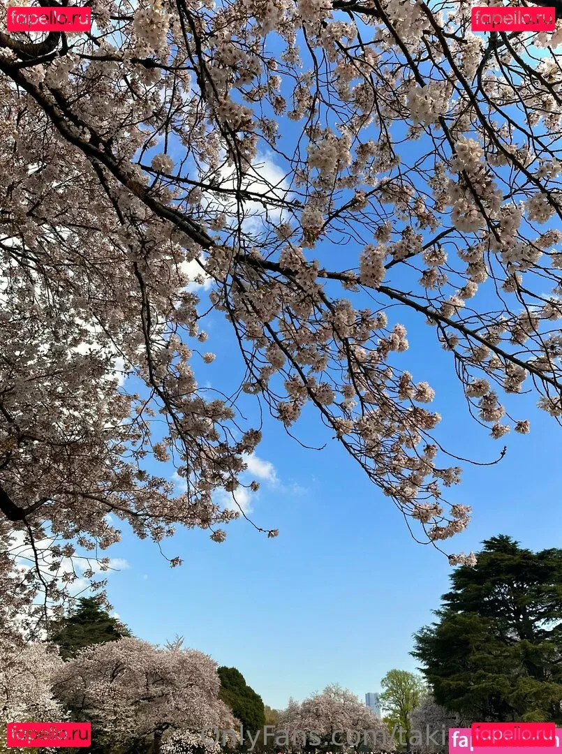 takizawaiori Onlyfans Photo Gallery 