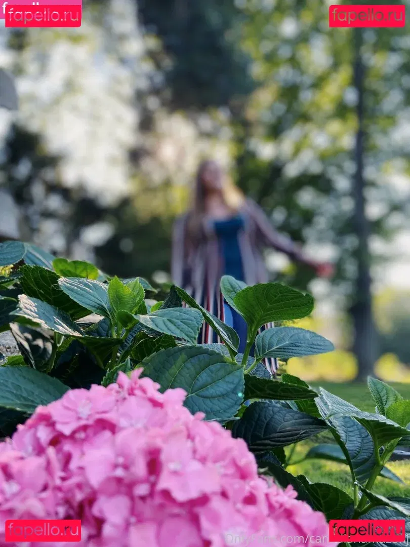 amazonjacq Onlyfans Photo Gallery 