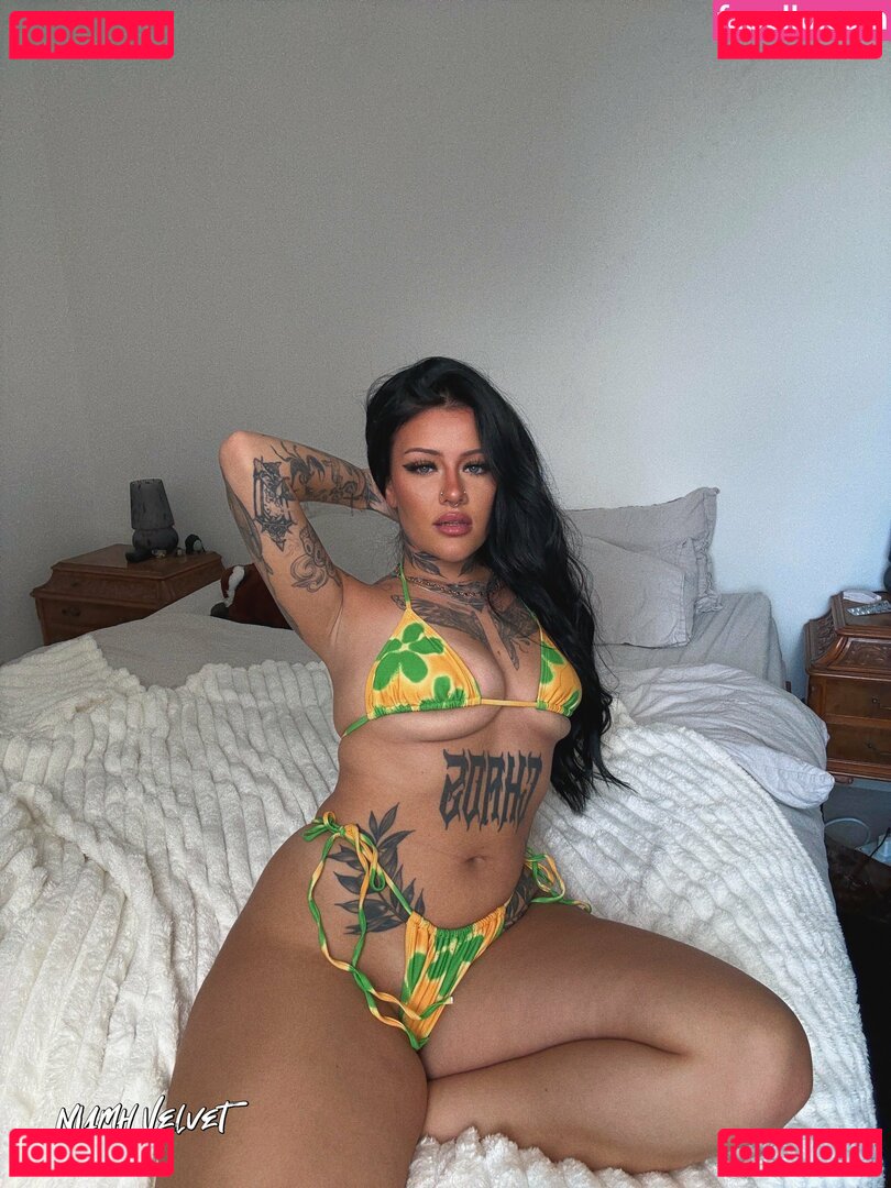 niamhvelvetvip Nude Onlyfans Photo 46