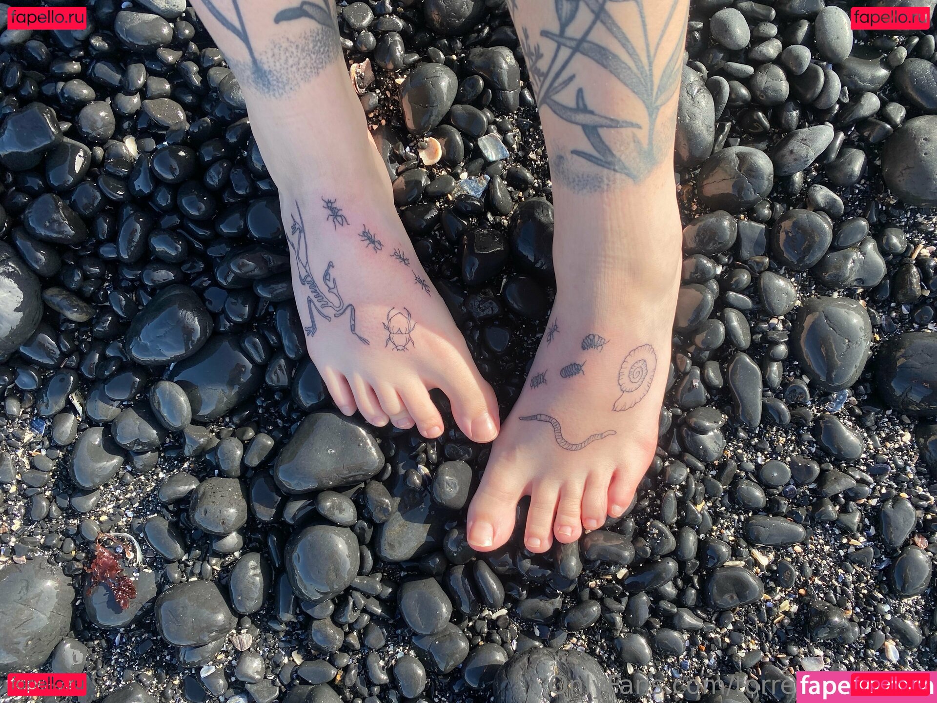 torrencelust.vip Nude Onlyfans Photo 24