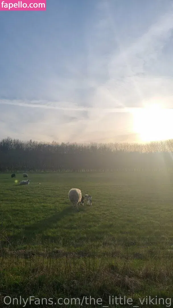 the_little_viking Onlyfans Photo Gallery 