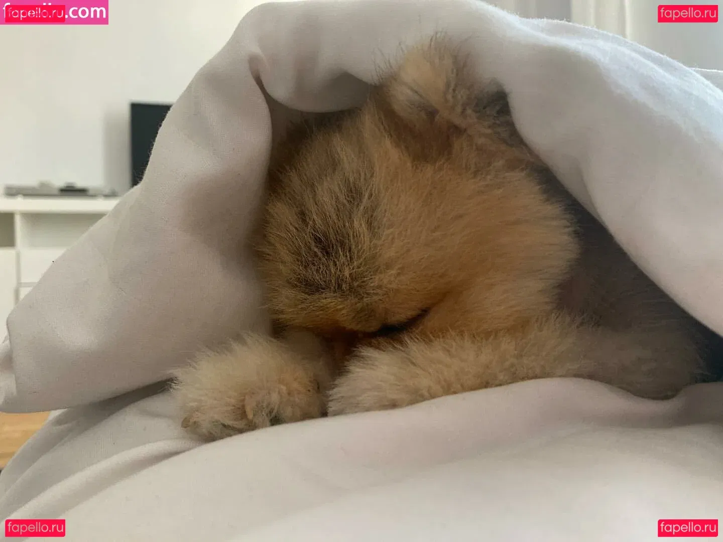 Maya Bulgarien Onlyfans Photo Gallery 