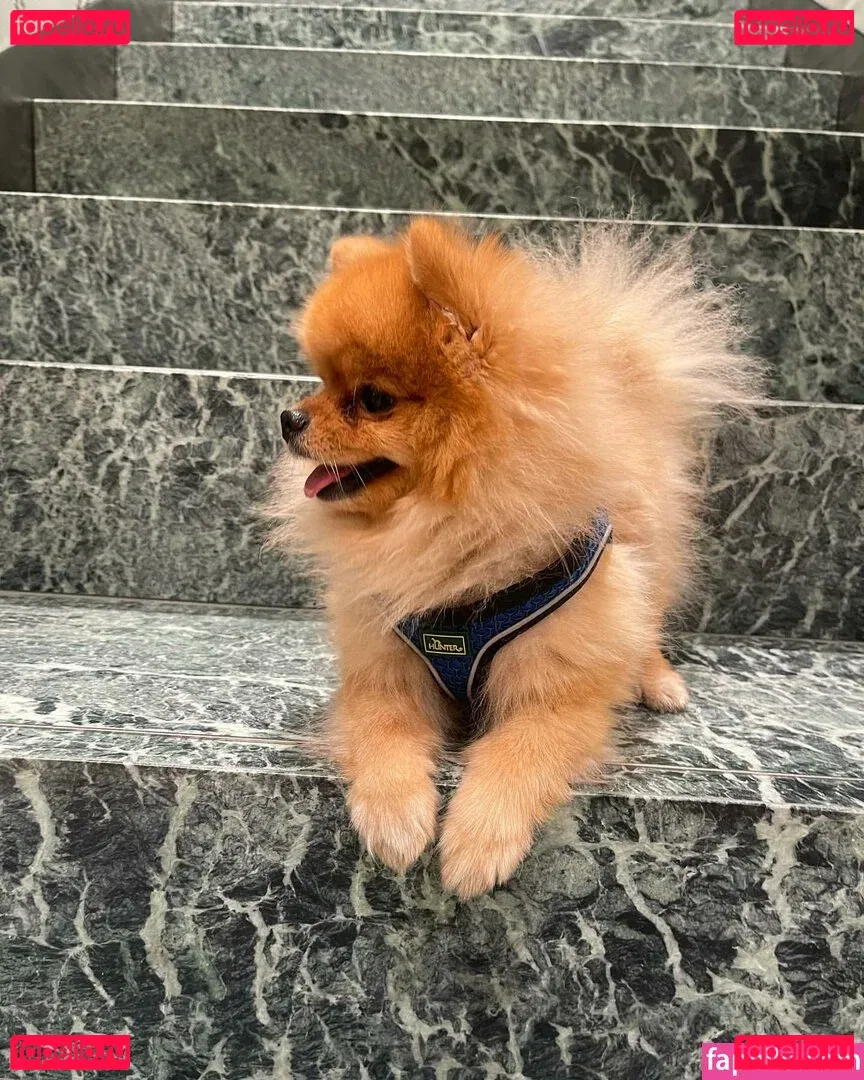 Maya Bulgarien Onlyfans Photo Gallery 