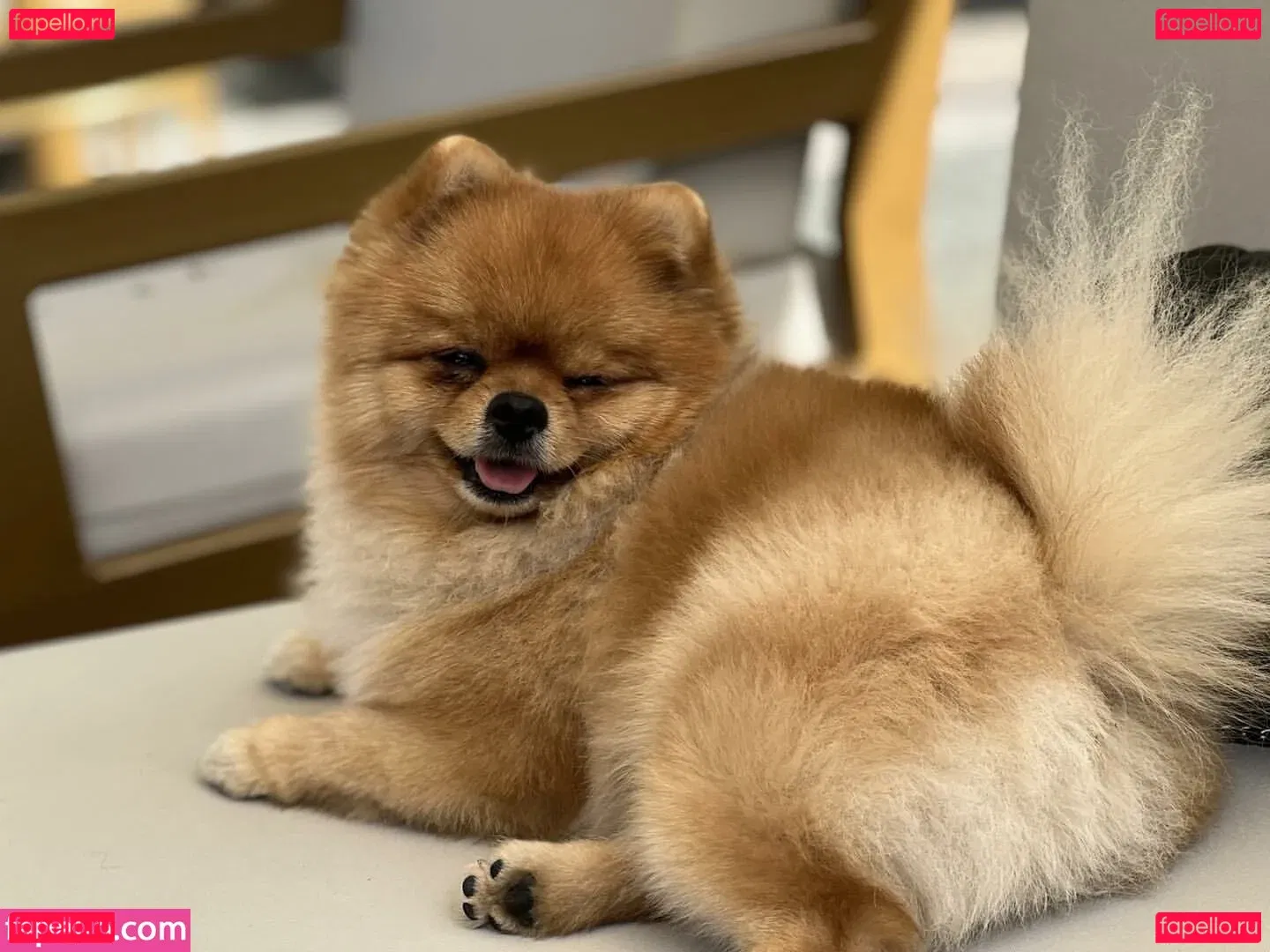 Maya Bulgarien Onlyfans Photo Gallery 