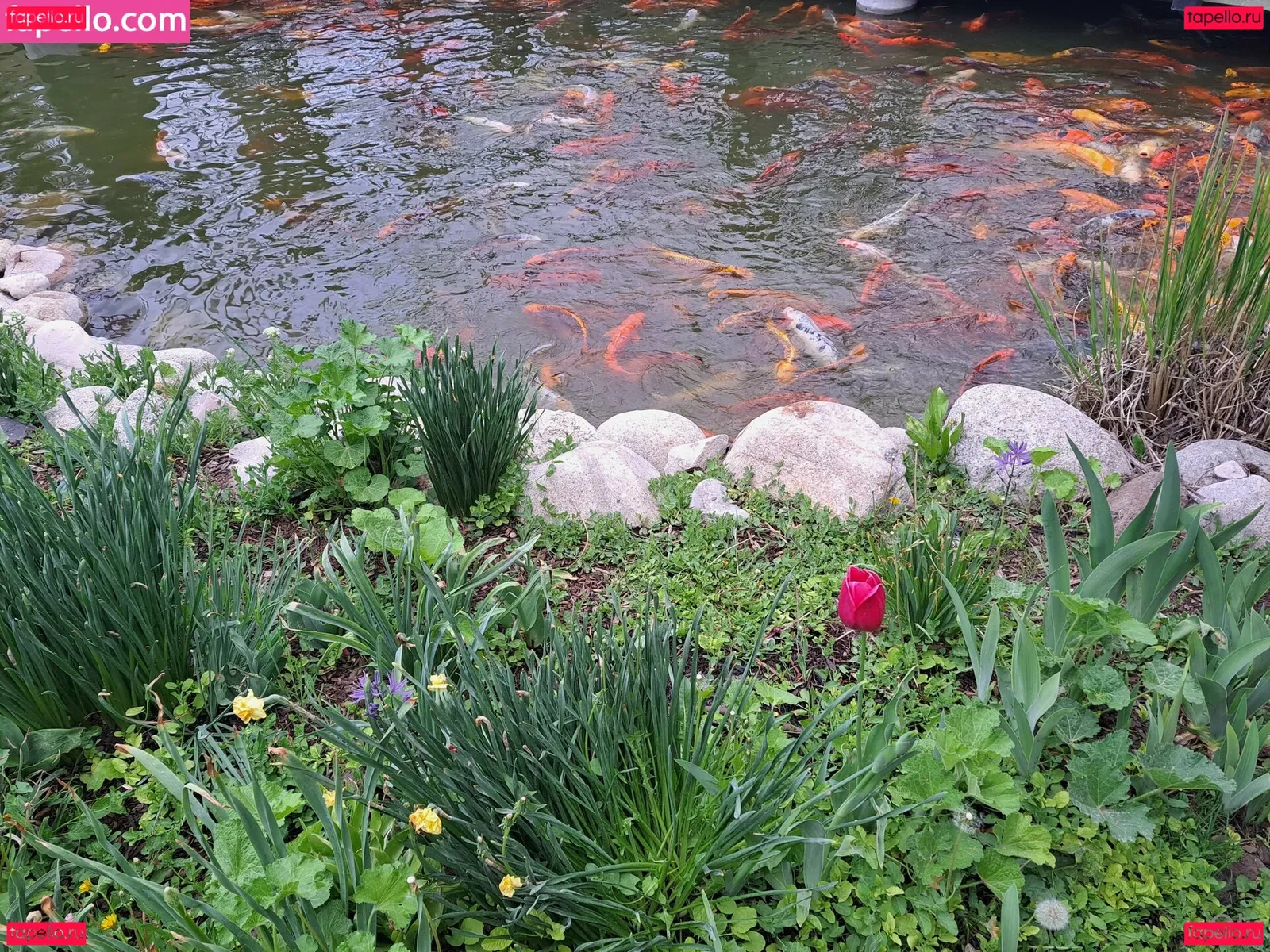 youcancallmeoly Onlyfans Photo Gallery 