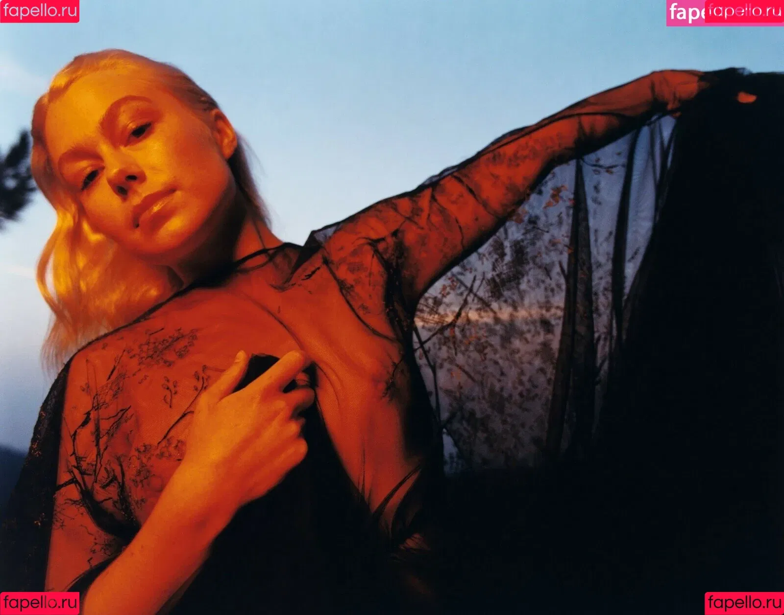 Phoebe Bridgers Onlyfans Photo Gallery 