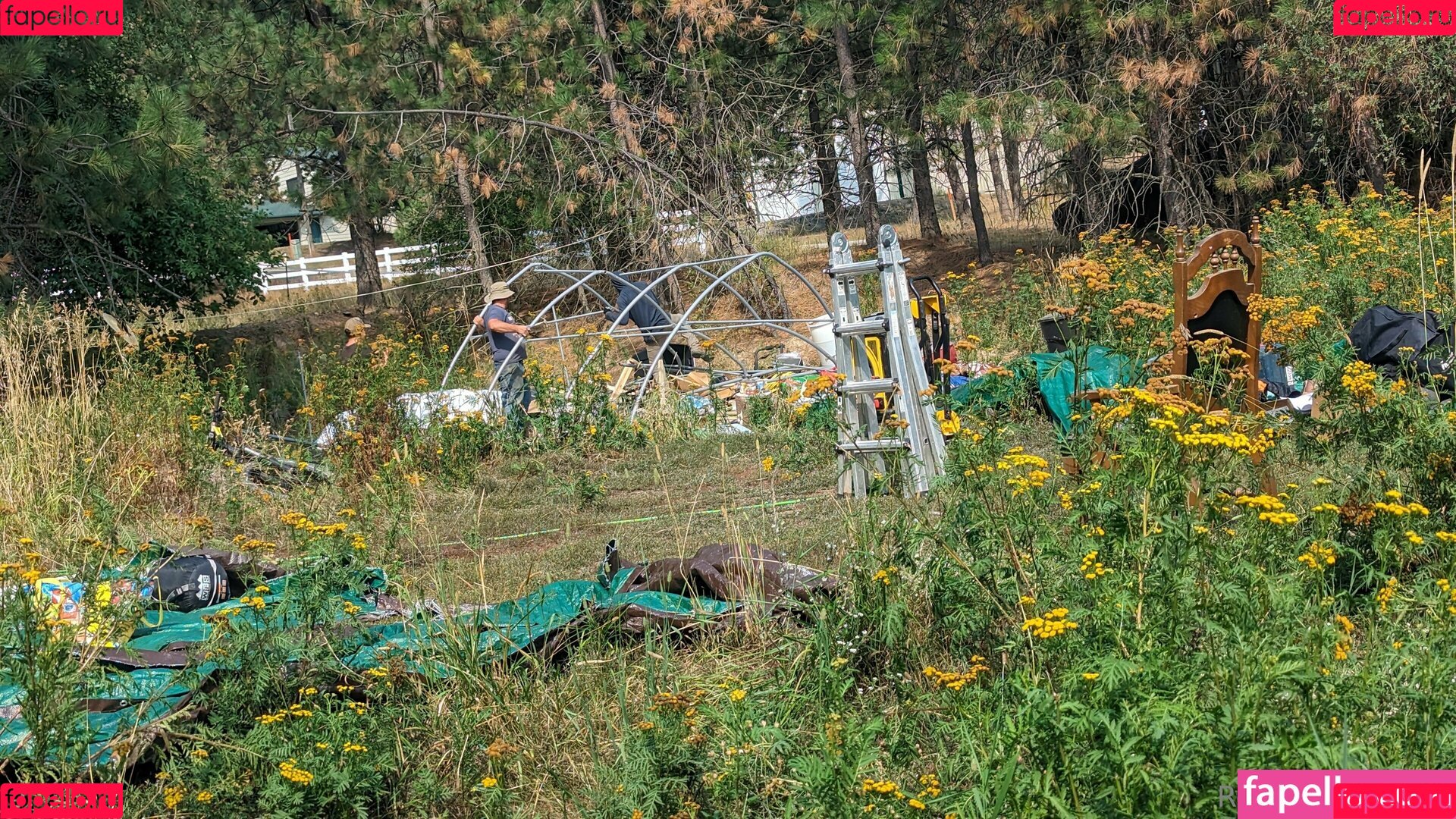 redsreferences Onlyfans Photo Gallery 