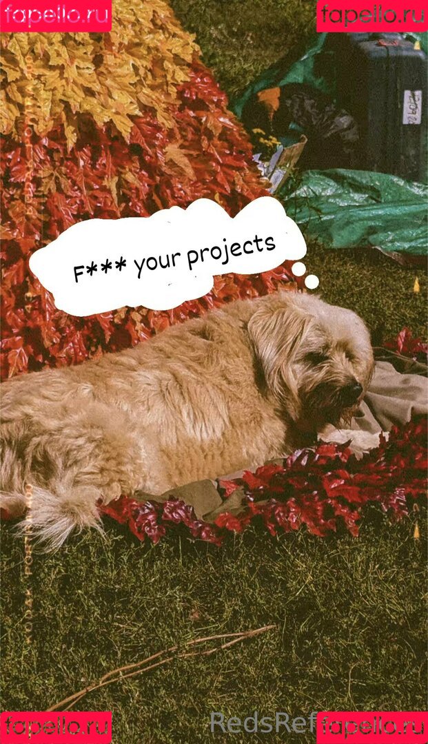 redsreferences Onlyfans Photo Gallery 