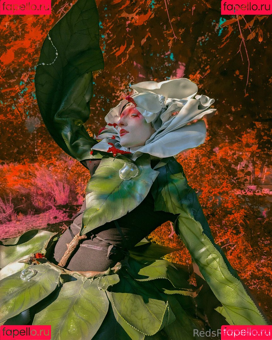 redsreferences Onlyfans Photo Gallery 